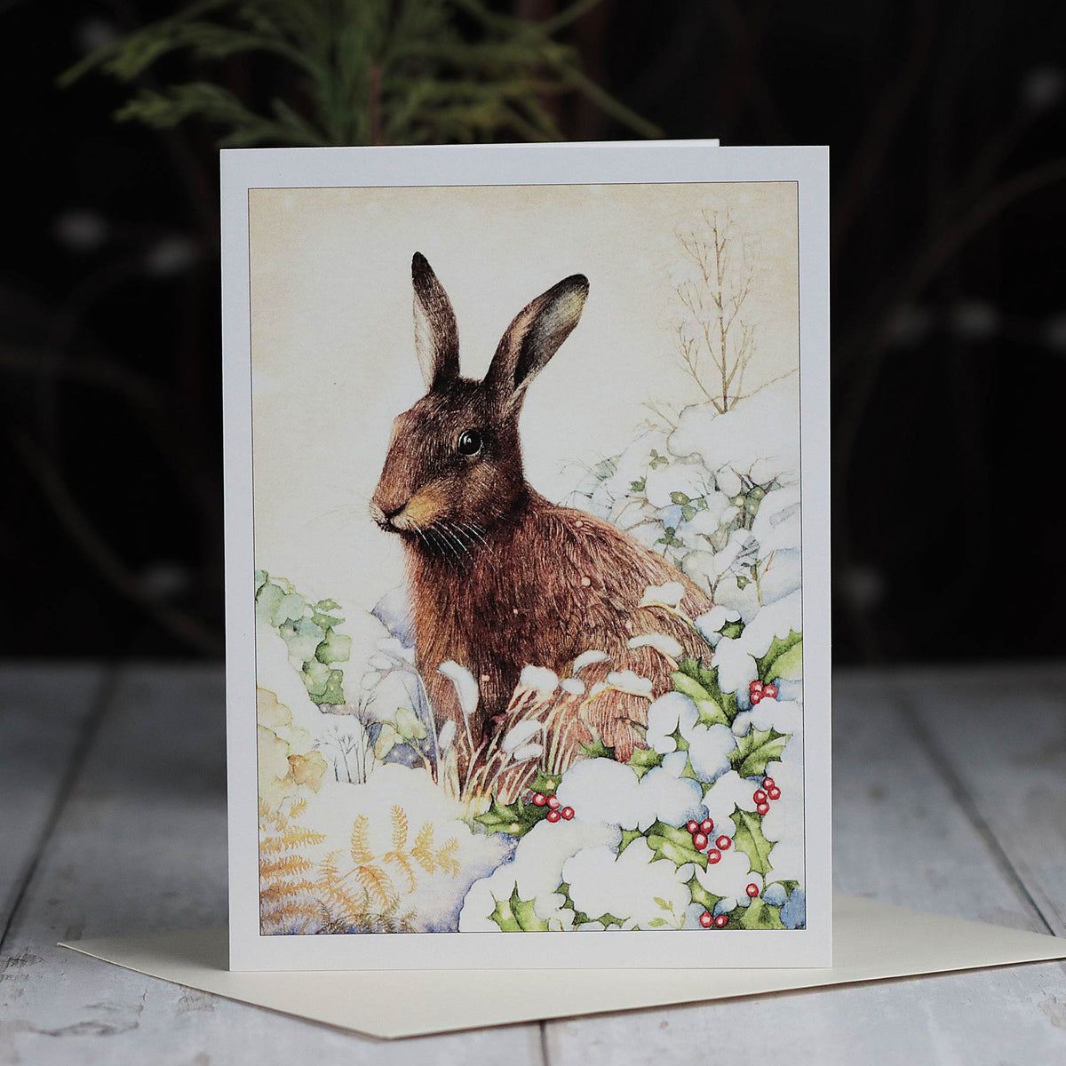 Hare in Snow, 5X7