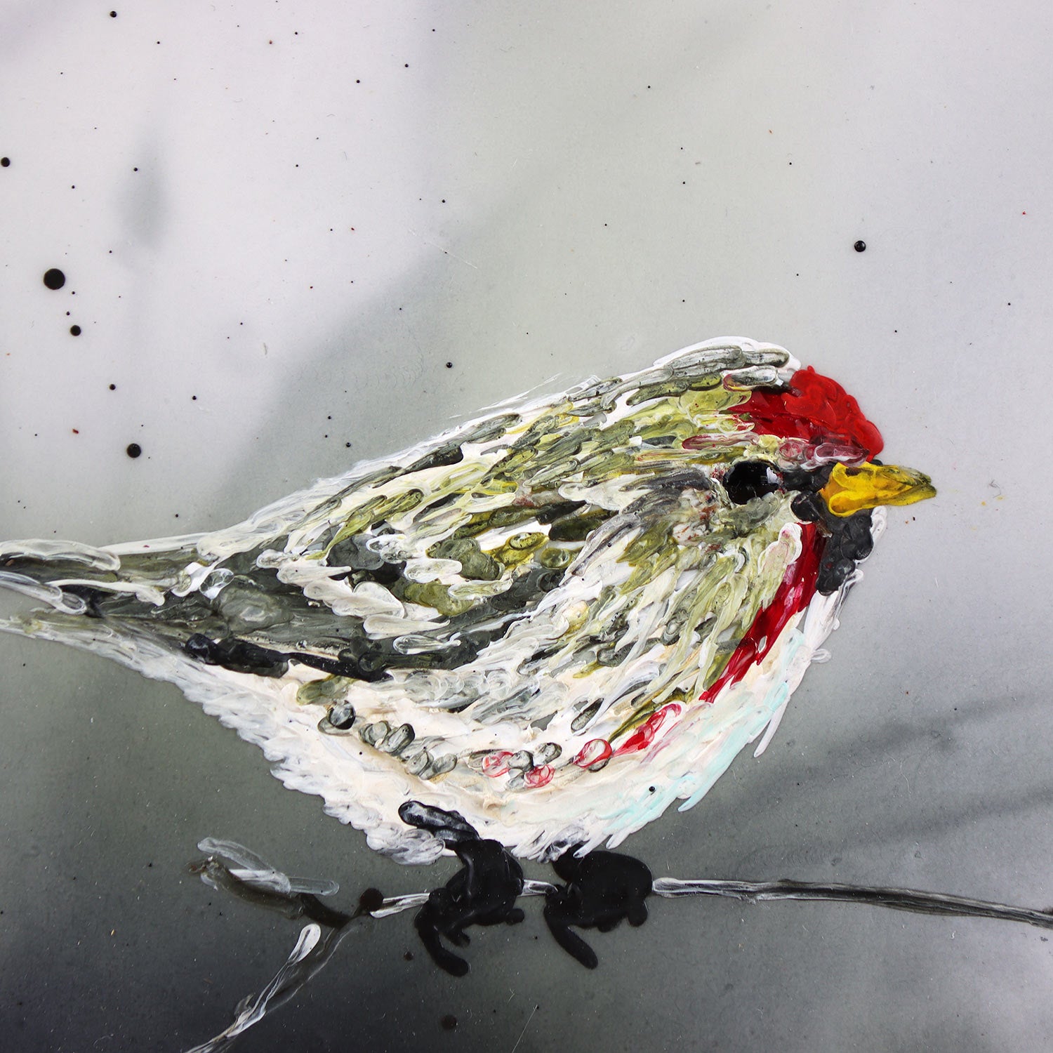 Redpoll Finch