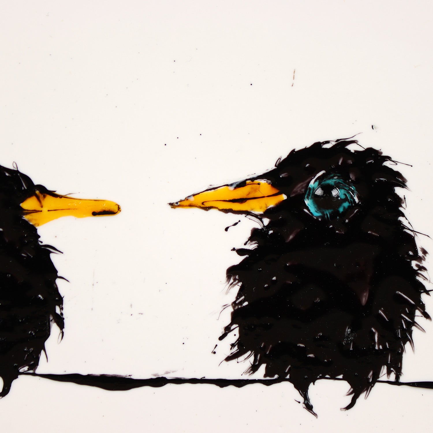 Fuzzy Black Birds