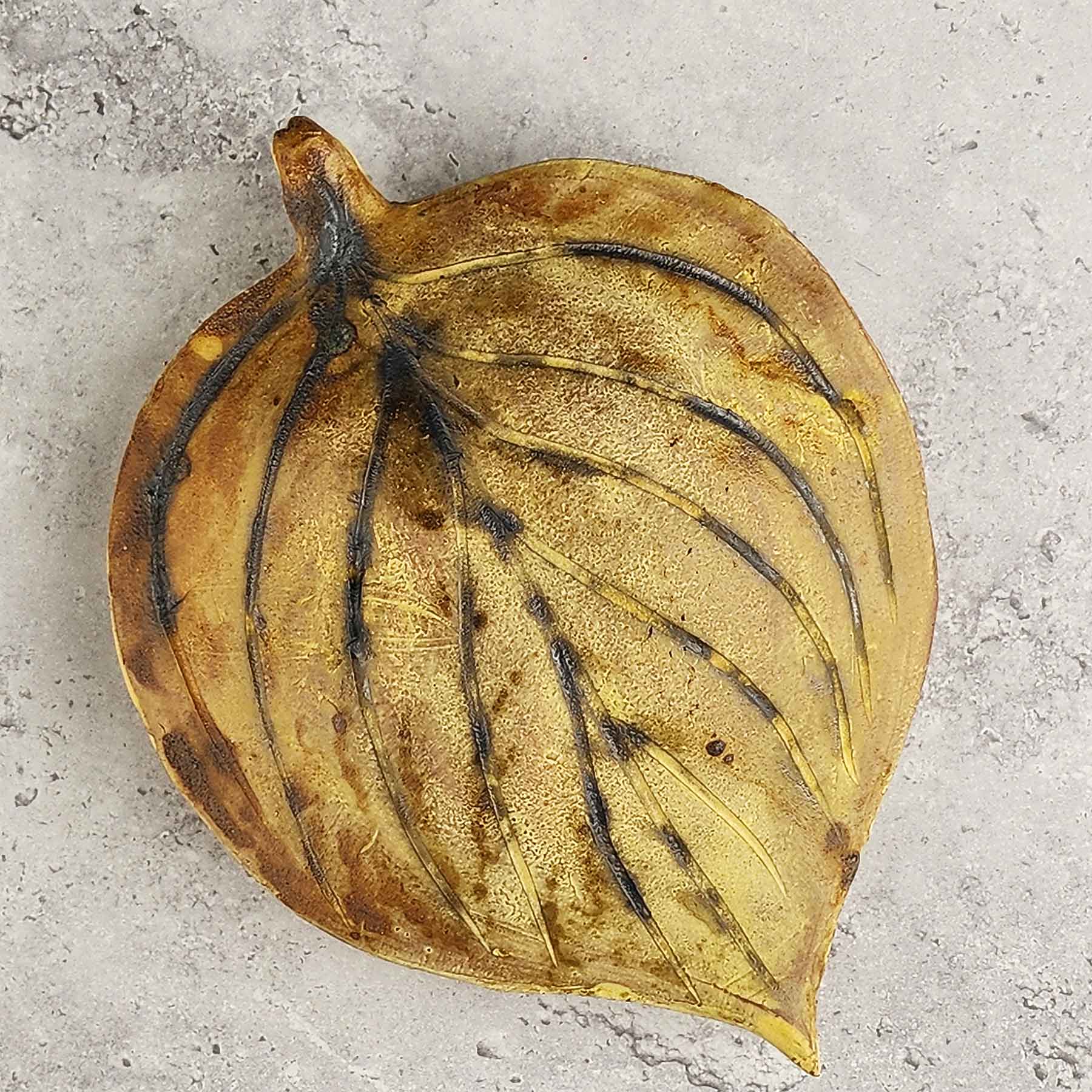 Round Hosta Leaf