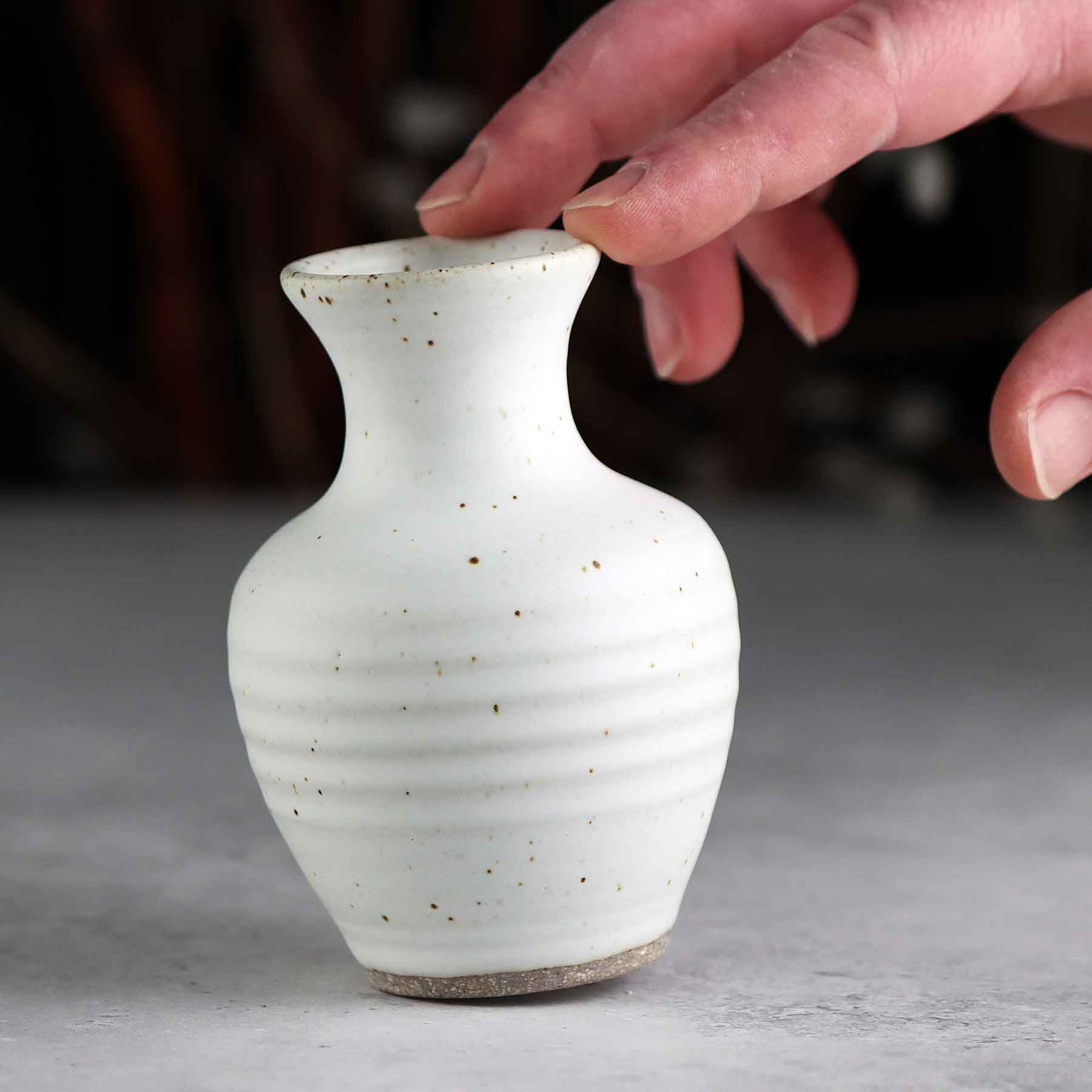 Amphora Bud Vase